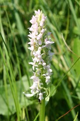 Killikus&reg; Fotographie